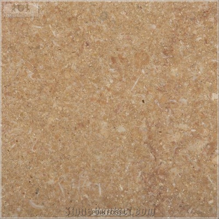 Pink Fossil Limestone Tiles & Slabs, Pink Polished Limestone Floor Tiles, Wall Tiles