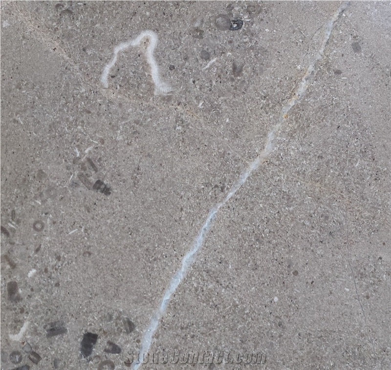 Halkyn Light Limestone Honed Aged Floor Tiles