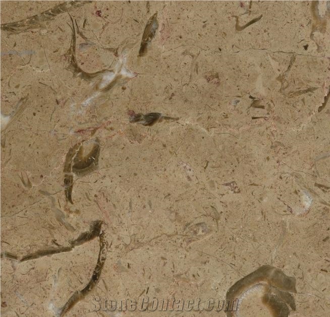 Dark Beige Marble with Structure Selection