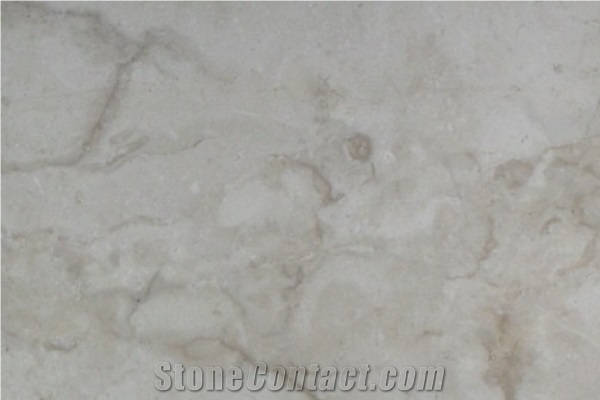 White Stone Vein Cut Honed Finished