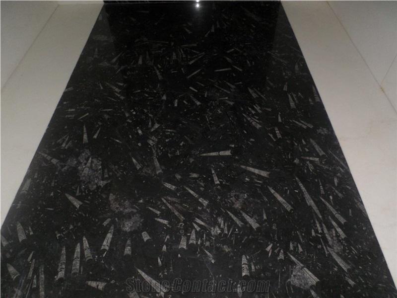 Black Fossil Marble Tiles