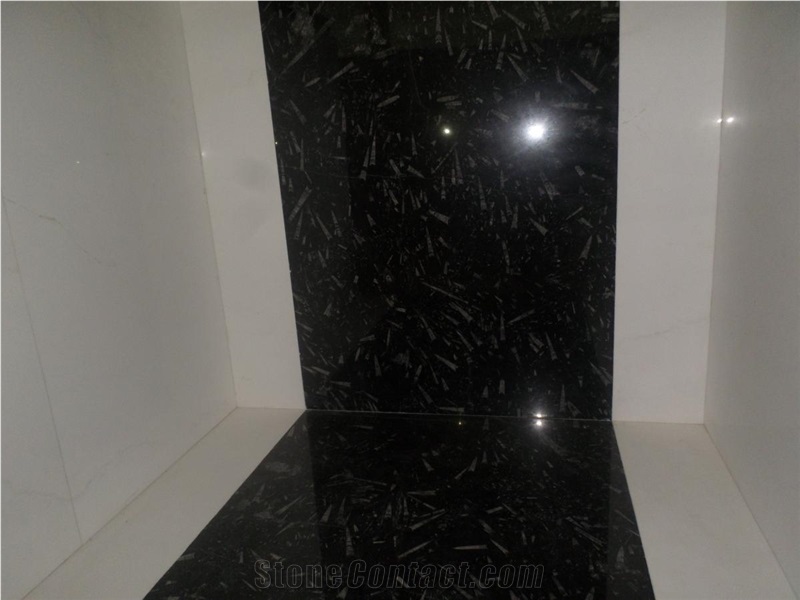 Black Fossil Marble Tiles