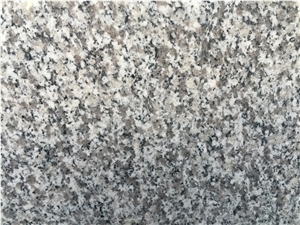 G623 Granite Bianco Sardo Stairs & Steps, China Grey Granite