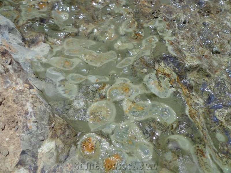 Fossil Green Slabs & Tiles, Afghanistan Green Quartzite