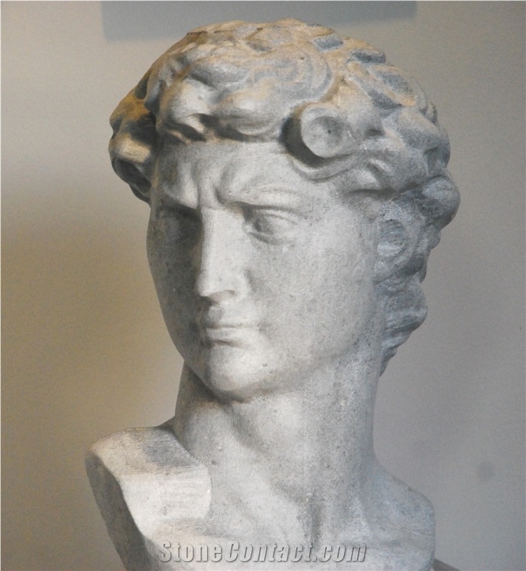 Michelangelo S David - a Bust by Rugo Stone.