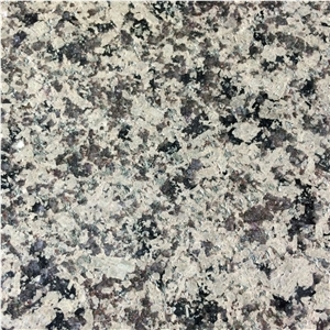 Polish Wood Granite Slab, China Grey Granite
