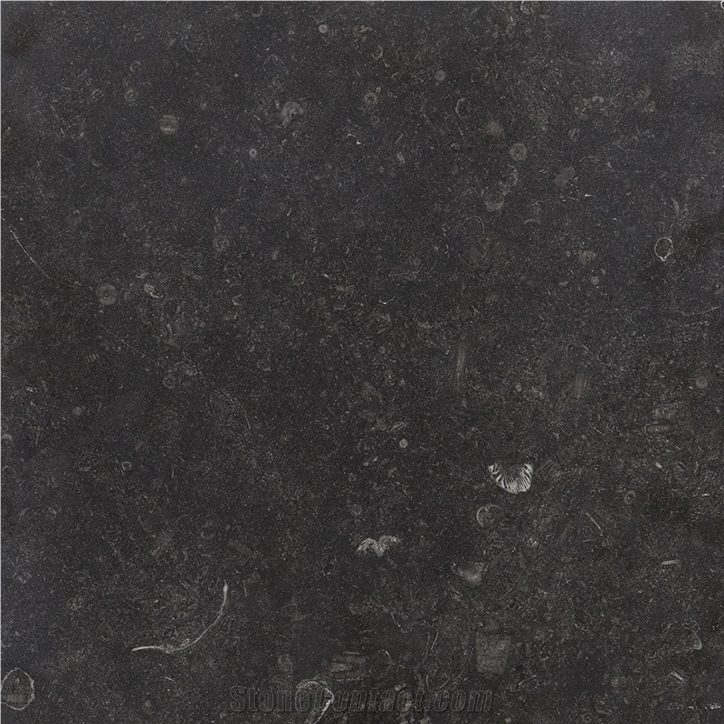 Atlantic Black Limestone Slabs & Tiles, Black Portugal Limestone