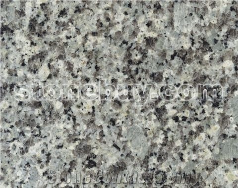 Blanco Platinum Slab&Tiles ,China White Granite