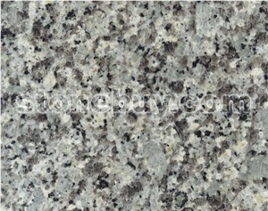 Blanco Platinum Slab&Tiles ,China White Granite