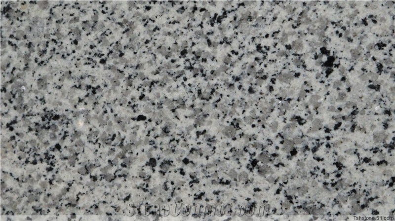 Dongshi White Granite,Slab & Tiles,China White Granite