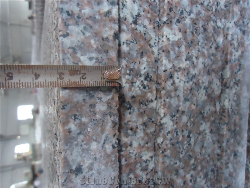 G664 Granite Wall Covering & Granite Floor Covering,China Red Granite Slabs & Tiles