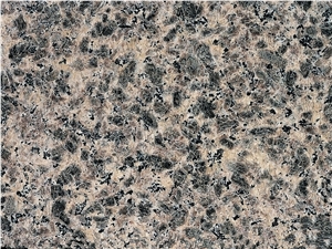 Leopard Skin Granite Slab & Tiles,China Brown Granite