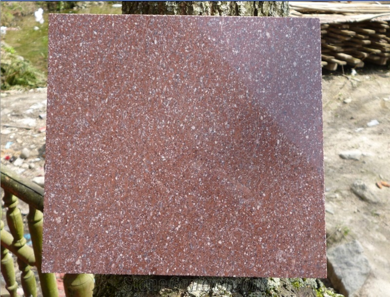 G666 a Granite Tile & Slab for Step,Stair,Cut-To-Size Stone Tile Polished