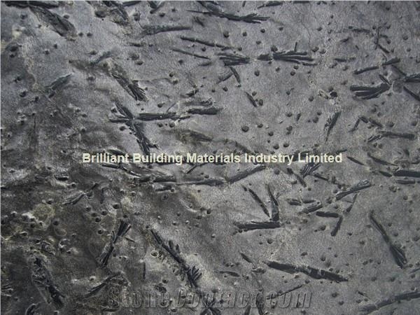 Otta Quartzite Brushed Slabs & Tiles, Norway Grey Quartzite