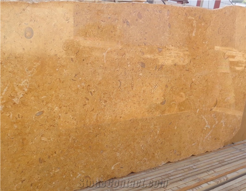 Fossil Gold Limestone, Jaisalmer Fossil Gold Limestone Tiles & Slabs