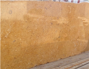 Fossil Gold Limestone, Jaisalmer Fossil Gold Limestone Tiles & Slabs