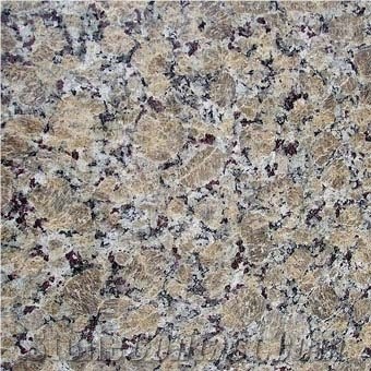 Butterfly Gold Yellow Granite Slabs & Tiles