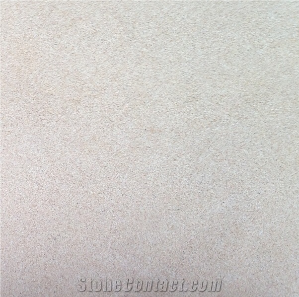 Super White Sandstone Slab & Tile, China White Sandstone