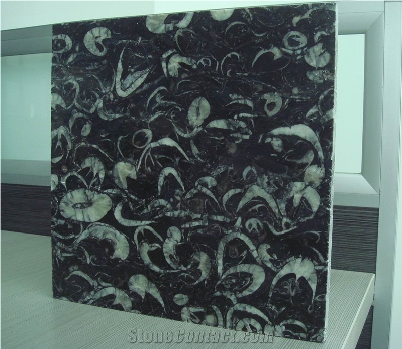 China Fossil Black Marble,Sea Shell Marble Polished Cut-To-Size Tiles