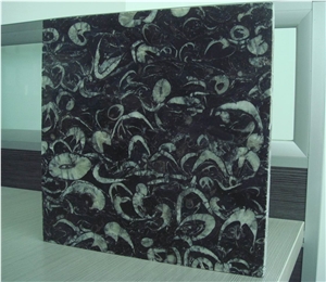 China Fossil Black Marble,Sea Shell Marble Polished Cut-To-Size Tiles