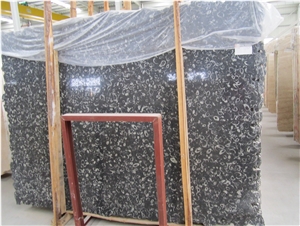 Sea Shell Marble Polished Slab, China Black Marble