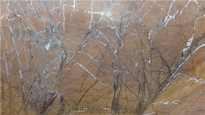 Rainforest Goldmarble Slabs Tiles, India Brown Marble