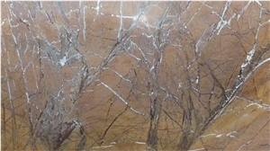 Rainforest Goldmarble Slabs Tiles, India Brown Marble