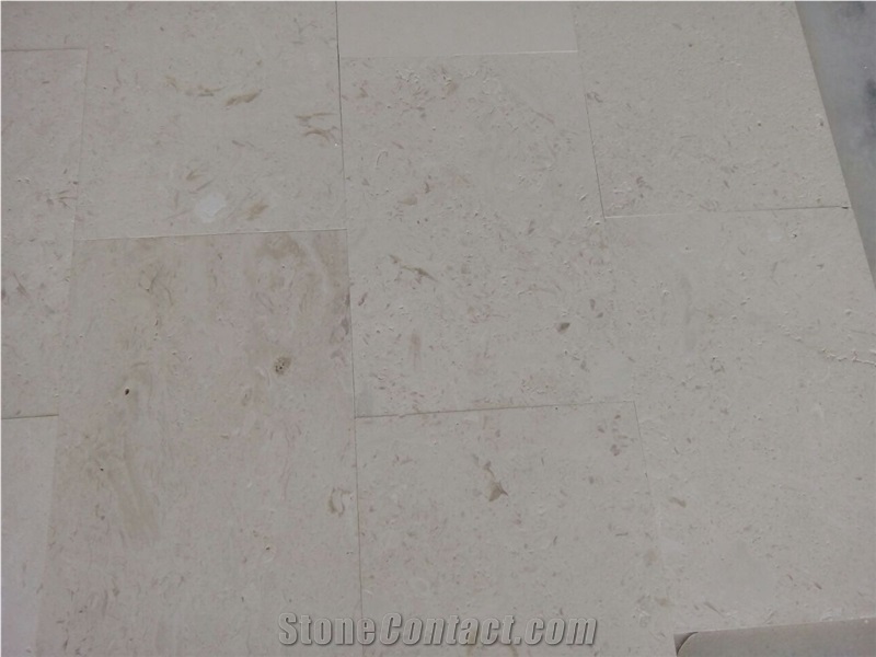 Shell Beige Limestone Pattern Tiles, Flooring Tiles