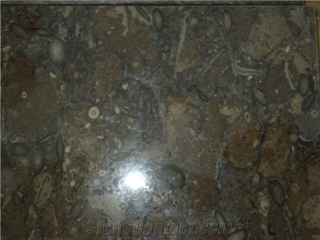 Best Quality Polished Finish Fossil Brown (Dark Gray) Natural Stone Limestone Slab & Tile for Export, Fossil Brown Limestone
