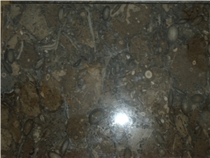 Dark Grey Color Limestone Tiles for Interior Decor, Fossil Brown Marble Slabs & Tiles