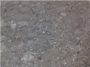 Dark Grey Color Limestone Tiles for Interior Decor, Fossil Brown Marble Slabs & Tiles