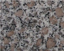 Three Coarse Grain Granite G1355 China White Granite Slabs & Tiles