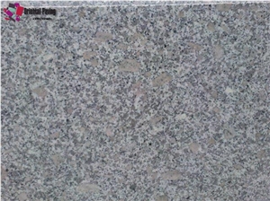 Wellest G603 China Light Grey,Luner Pearl Granite Polished Floor Tile & Flooring Covering,Wall Tile & Wall Cladding