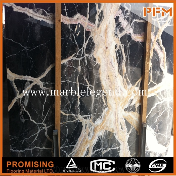 Chinese Black Rose/ Myanmar Marble Slabs & Tiles,Cut-To-Size for Floor Covering,Interior Decoration,Wholesaler