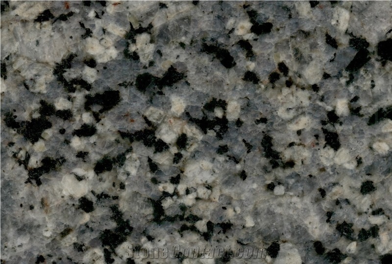 Mountain Green Granite Slabs, India Green Granite
