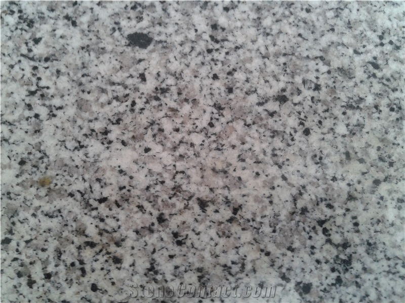 Tekab Granite Tiles & Slabs, Grey Iran Granite Tiles & Slabs