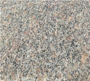 Pearl Flower Granite G383 Granite