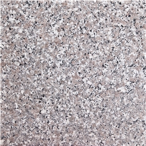 Grey Vietnam Granite Tiles & Slabs