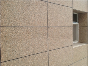 Brushed Chia Red Granite Tiles Wall Cladding/China Red Granite Tiles/Fujian Granite/G664 Granite/Maple Granite