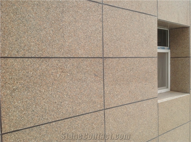 Jasmine Fiorito Granite Tiles Walling Panel/Red Granite Slabs/Red Granitetiles/Pink Granite/G664 Granite