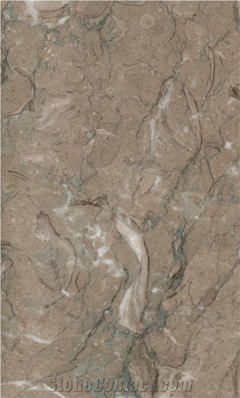 Kohilie Limestone Tiles & Slabs, Grey Limestone Syria