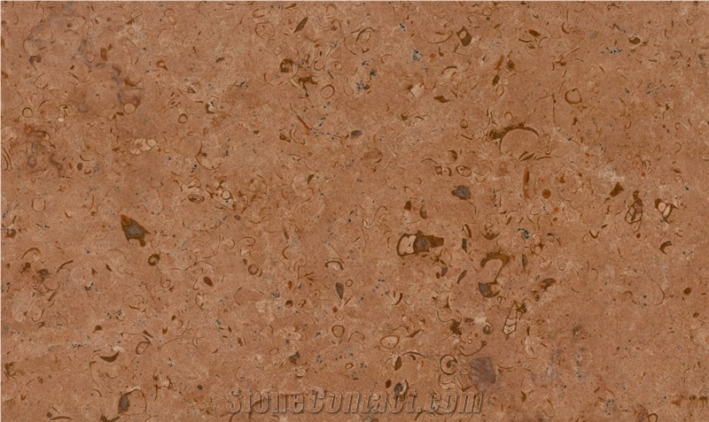 Ivory Gold Limestone Slabs & Tiles, Fossil Gold Limestone