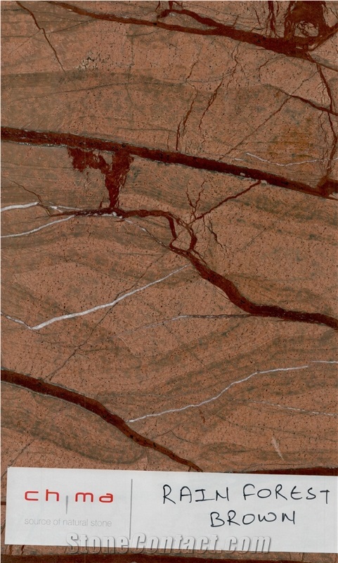 Rain Forest Brown Marble, Bidasar Brown Marble Tiles & Slabs India