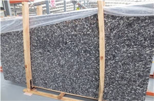 China Black Fossil Marble Tiles & Slabs