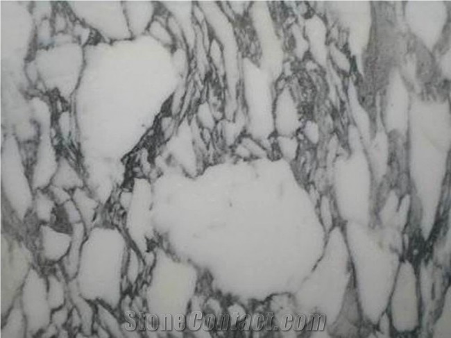 Arabescato Wormal Marble Slab & Wall Covering & Bathroom & Kirtings & Window Sills ,White Polished Marble