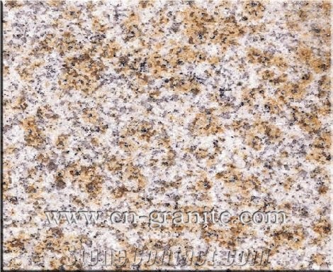 China G350 Yellow Granite Sample,Granite G350 Tile & Slab