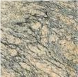 China Golden Conch Granite Tile & Slab