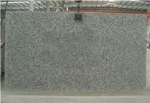 G439 Granite Slabs & Tiles,China Grey Granite Natural Stone