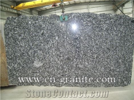 Oyster Pearl,Granite Slab,Gangsaw Granite Slabs,Random Granite Slabs/Wholesaler