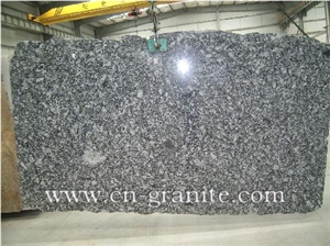 Oyster Pearl,Granite Slab,Gangsaw Granite Slabs,Random Granite Slabs/Wholesaler